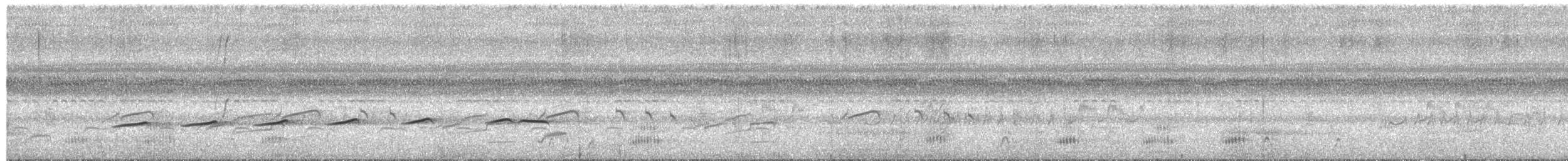 Striped Cuckoo - ML656677892