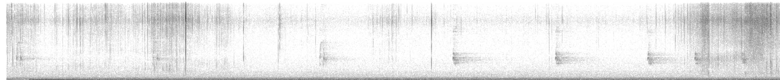 Northern Mockingbird - ML656696569