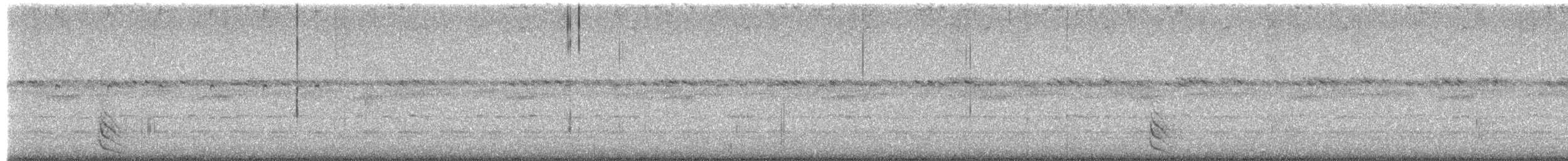 Australian Owlet-nightjar - ML656702001