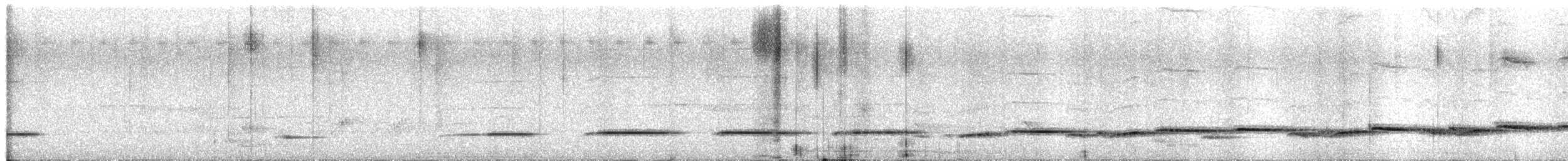 Banded Bay Cuckoo - ML656703491