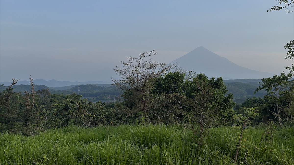 null - ML656720018