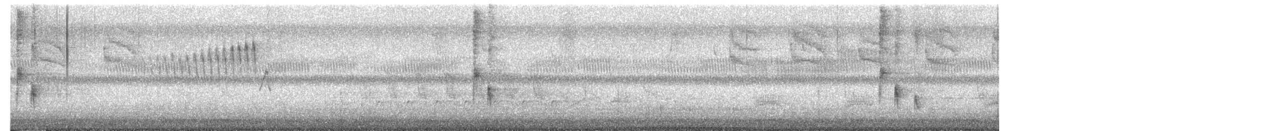 Piranga vermillon - ML656725674