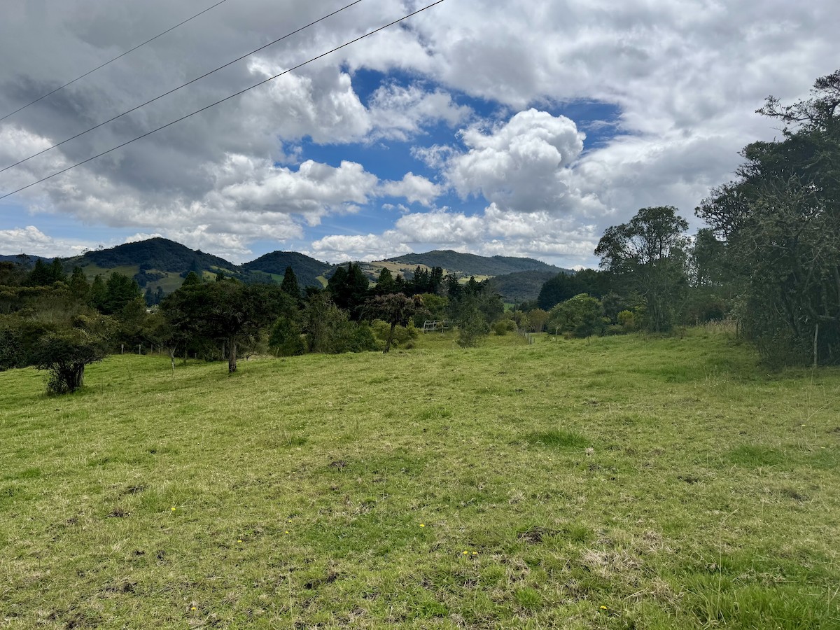 null - ML656736468