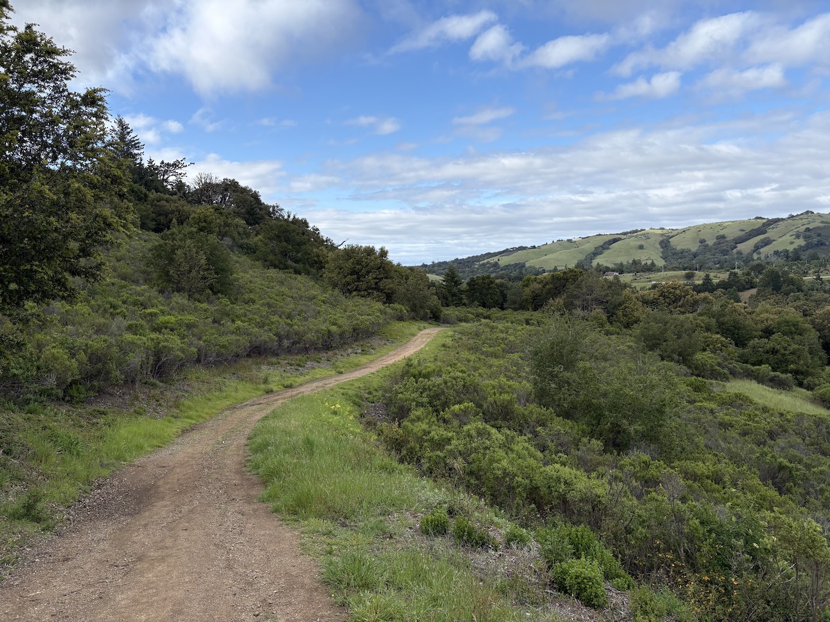 null - ML656758831