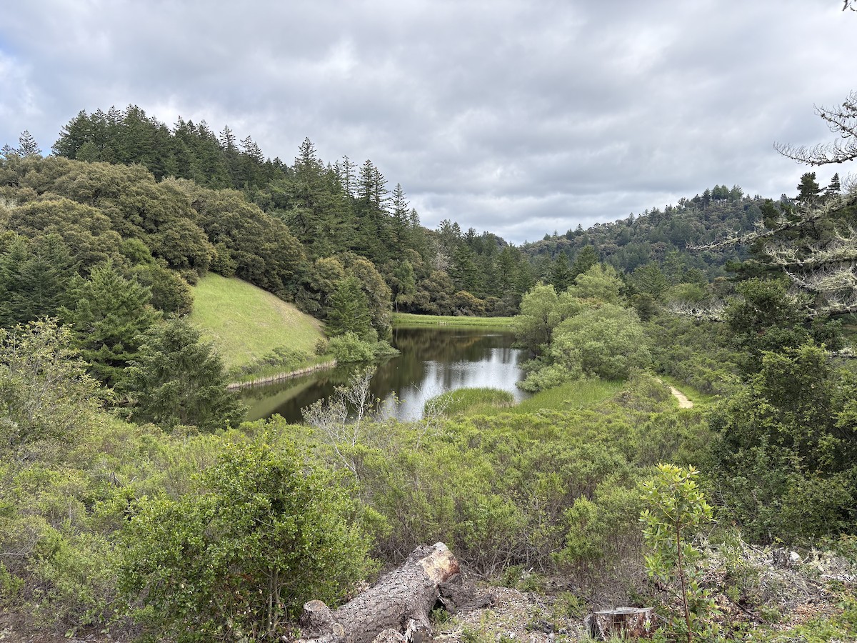 null - ML656758833