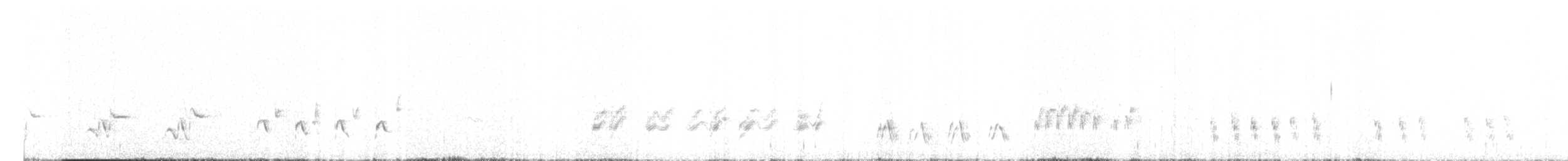 Northern Mockingbird - ML656760570