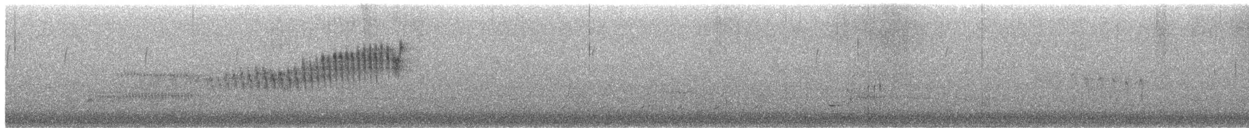 Northern Parula - ML656768254