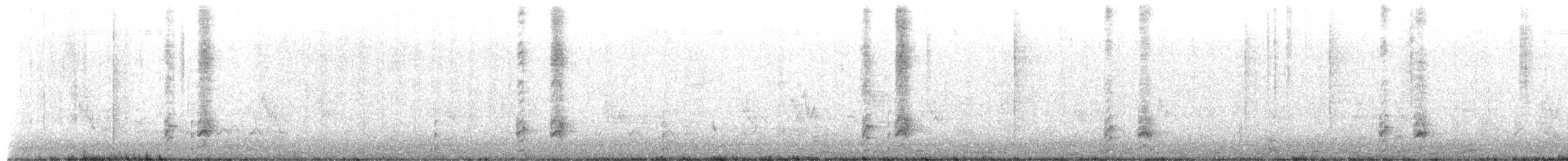pygmérørdrum - ML656768519