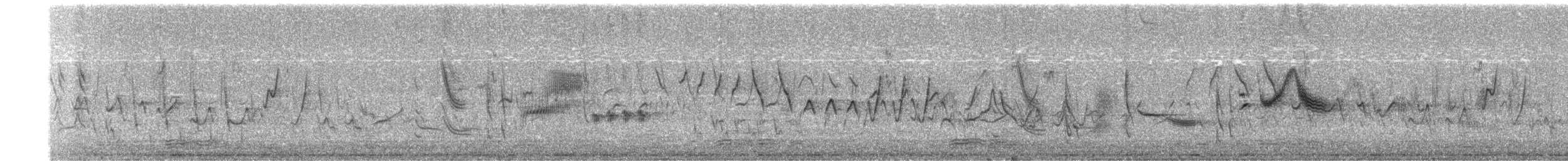 תפוחית מצויה - ML656773367