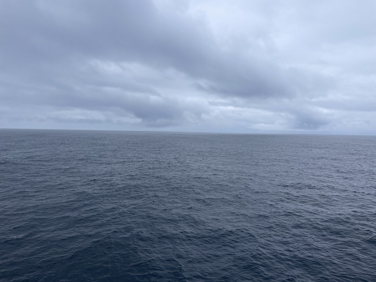 null - ML656787129