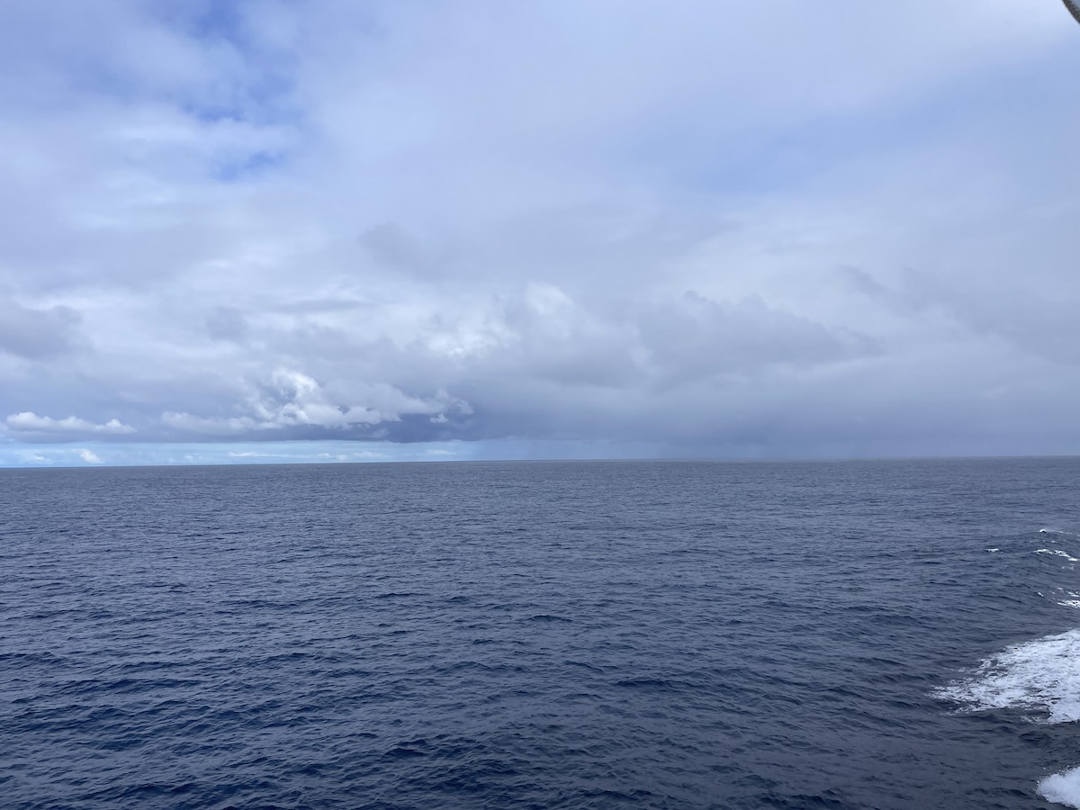 null - ML656787187
