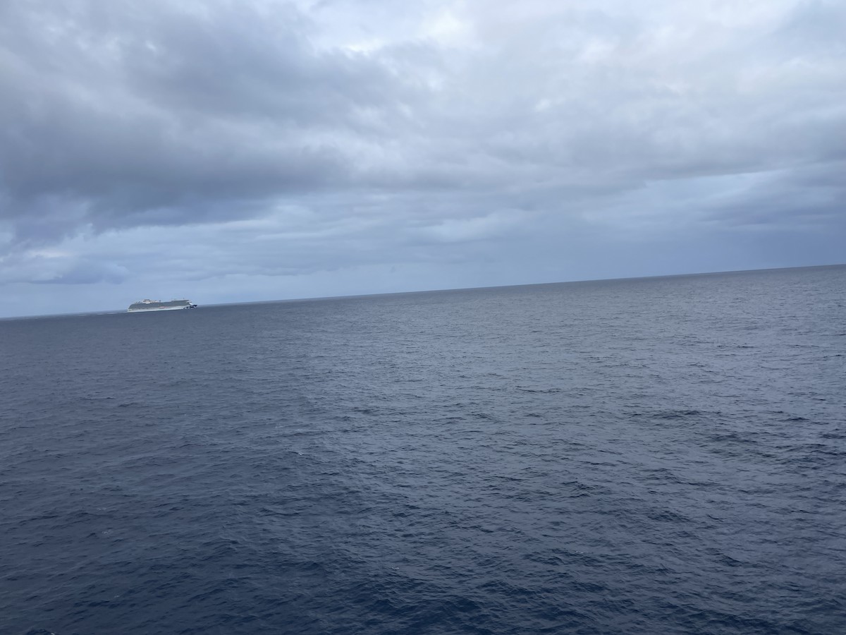 null - ML656787299