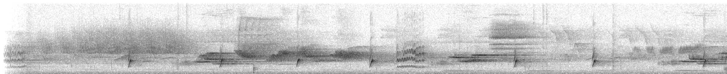 קיכלי יערות - ML656789714