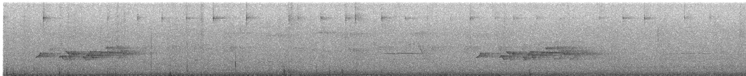 blekktykknebb (parellina/beneplacita) - ML656823610