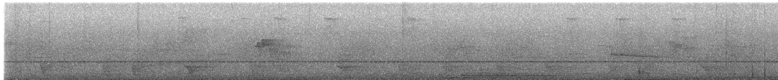 melamazon (guatemalae/virenticeps) - ML656823616