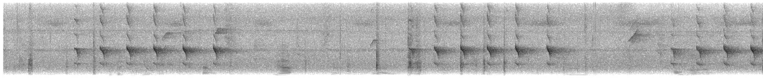 Western Woodhaunter - ML656835713