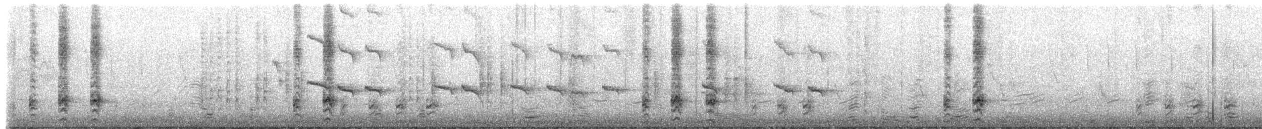 pygmérørdrum - ML656846132