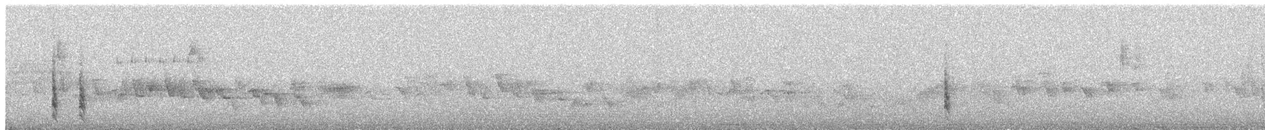 Scott's Oriole - ML656853318