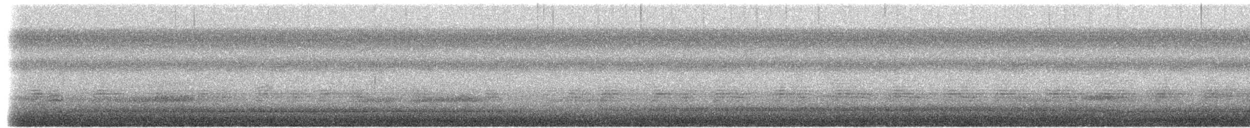 shorebird sp. - ML656853496