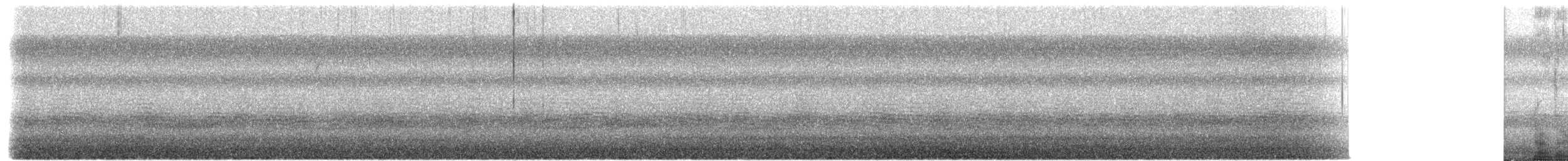 passerine sp. - ML656853540