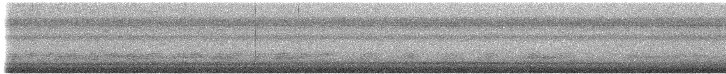 passerine sp. - ML656853541