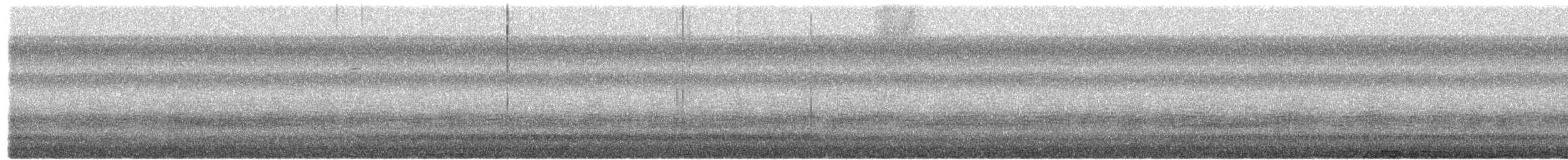 passerine sp. - ML656853542