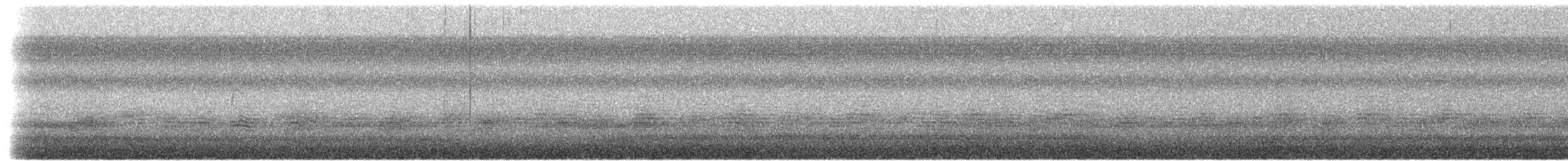 passerine sp. - ML656853543