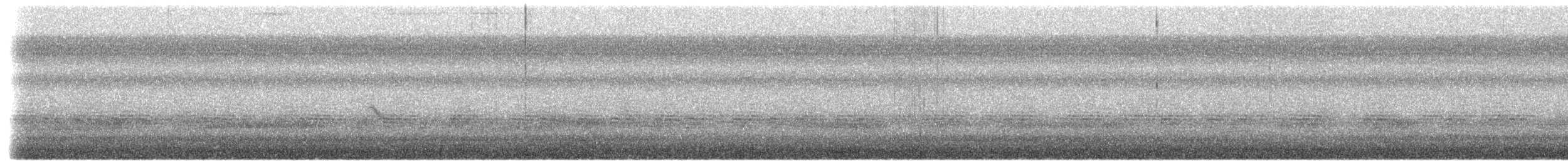 passerine sp. - ML656853545