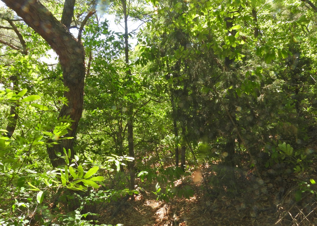 null - ML656858402