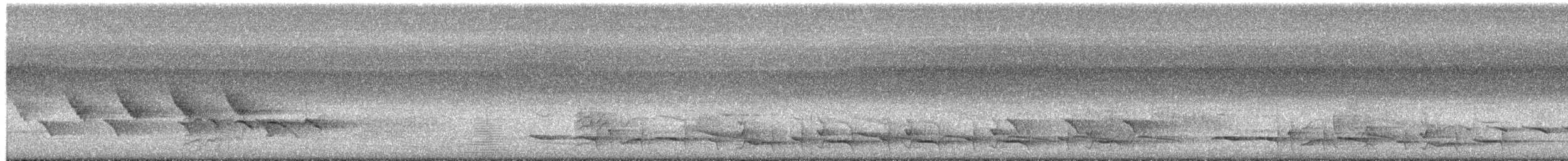 smalstripemeistimal (gularis gr.) - ML656859816