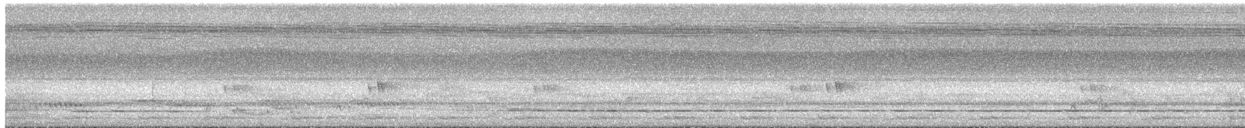 grønnbeinhøne (chloropus gr.) - ML656859846
