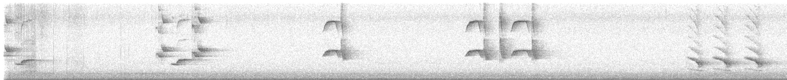Northern Mockingbird - ML656867810