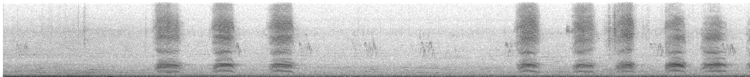 House Crow - ML656879490