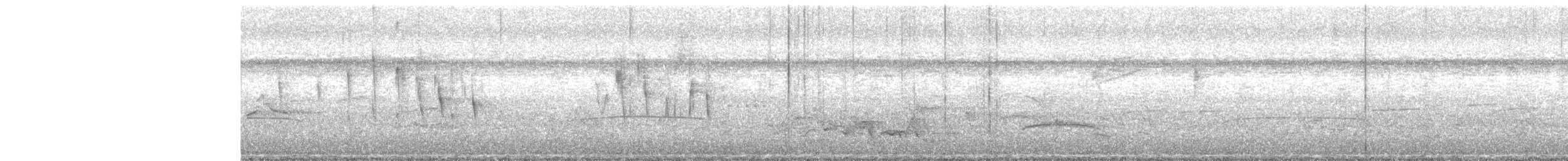 Short-tailed Swift