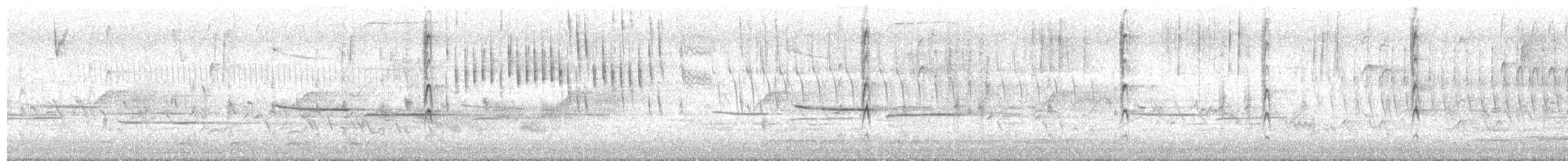 Song Sparrow - ML656914567
