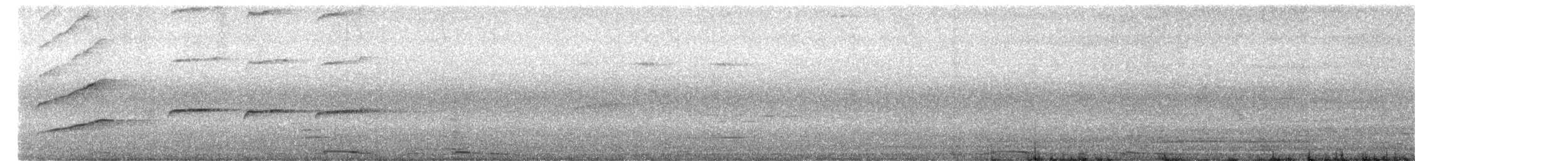 White-winged Dove - ML656929798