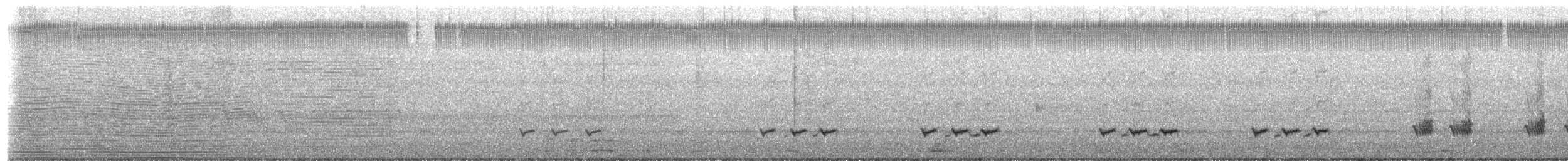 Northern Mockingbird - ML656954341