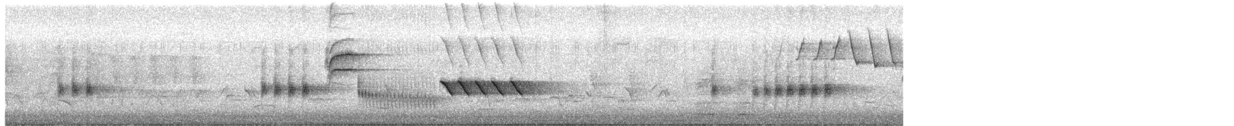 Bewick's Wren - ML656969047