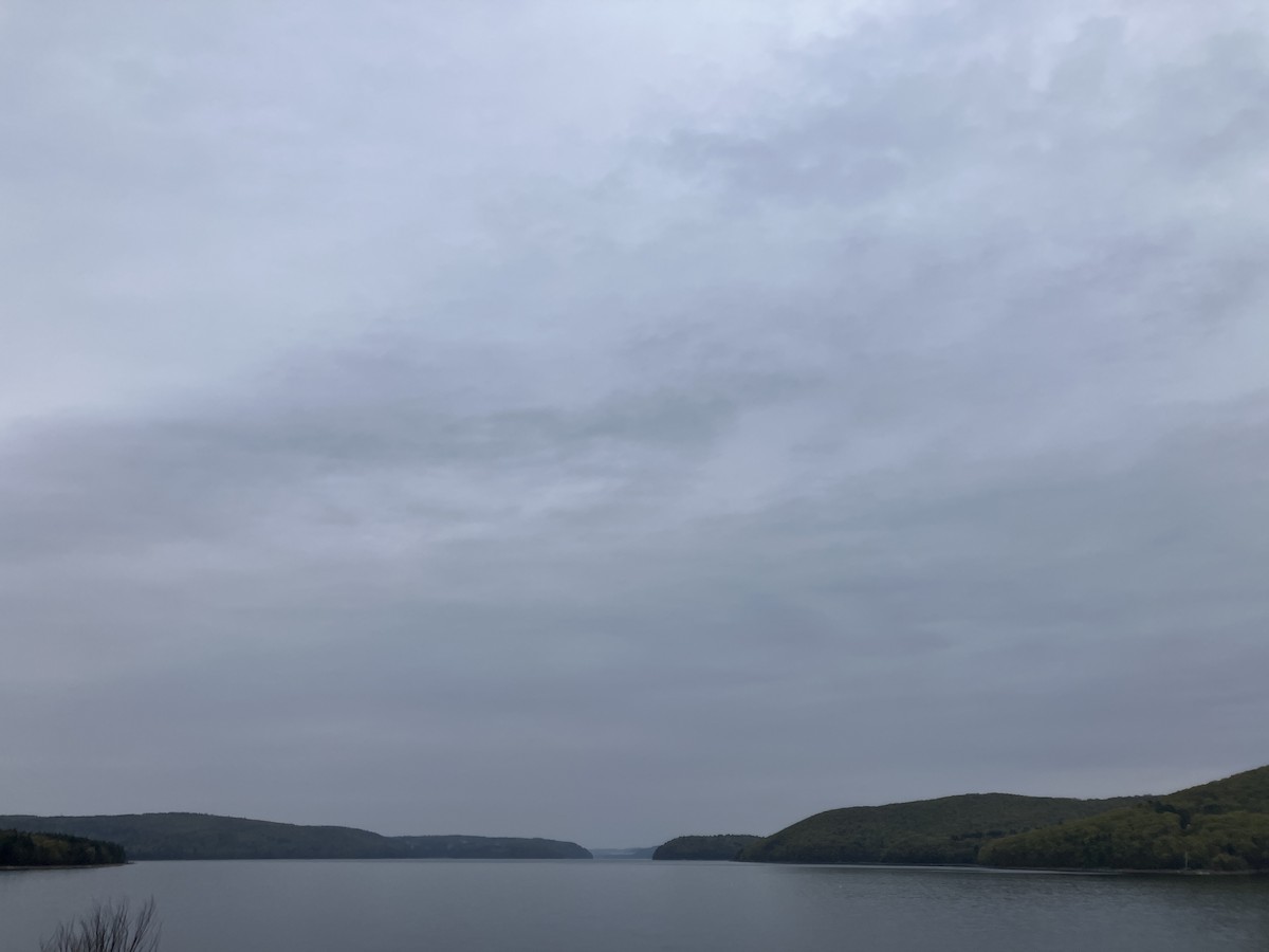 null - ML656973447