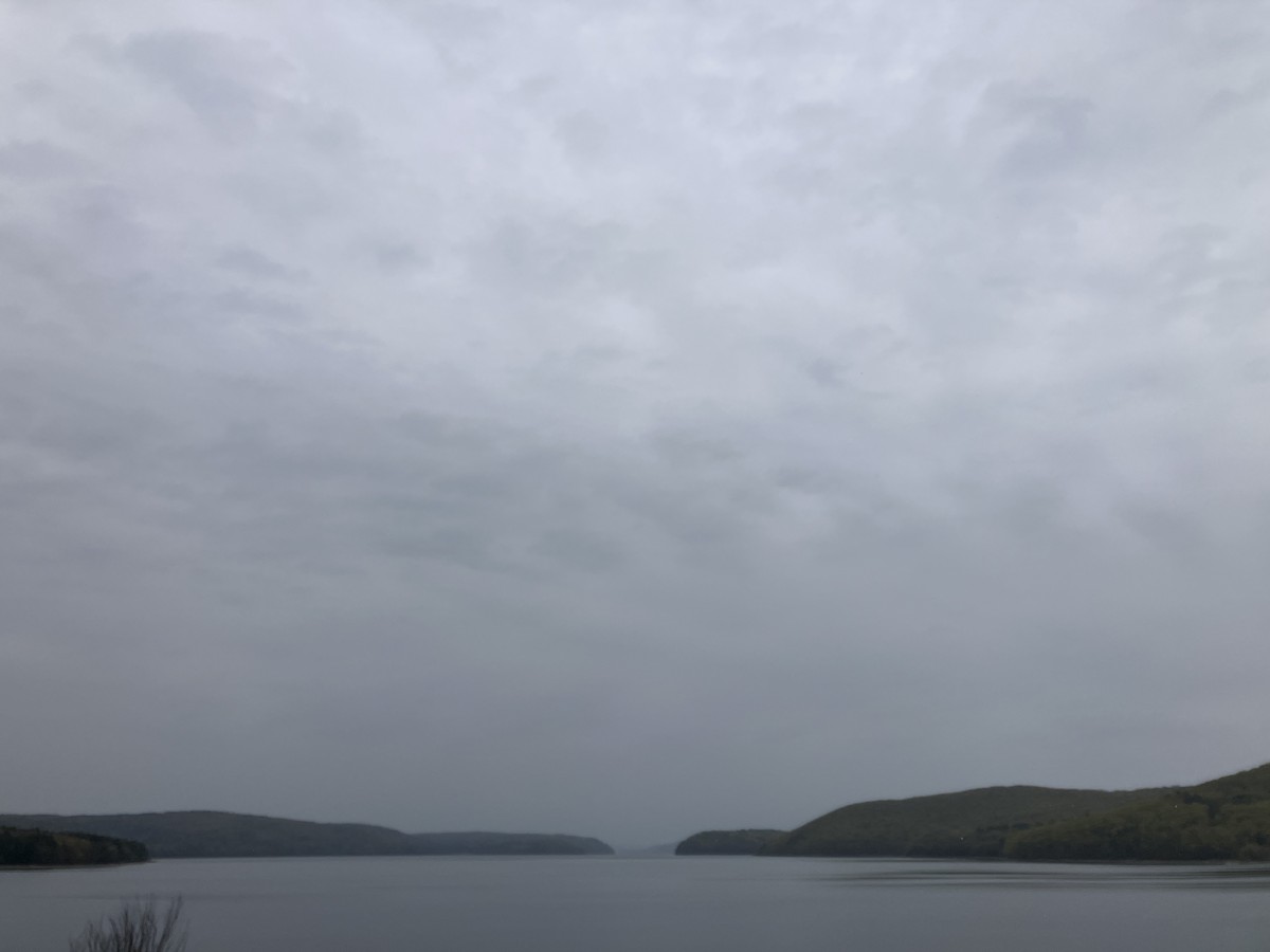 null - ML656973490