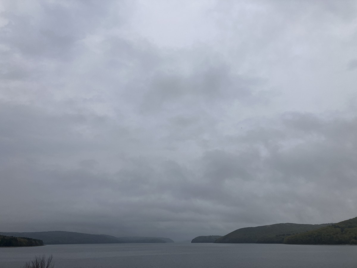 null - ML656973528
