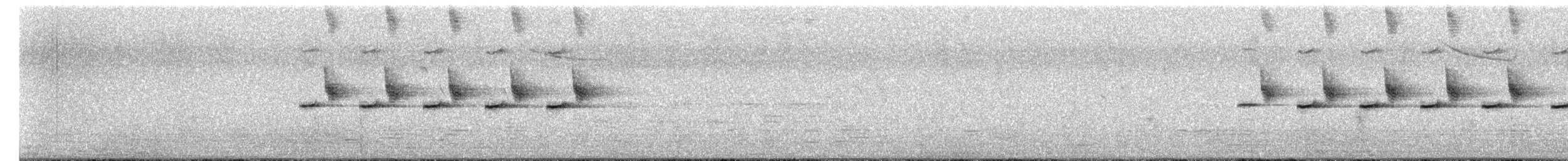 Cinciallegra - ML656985127