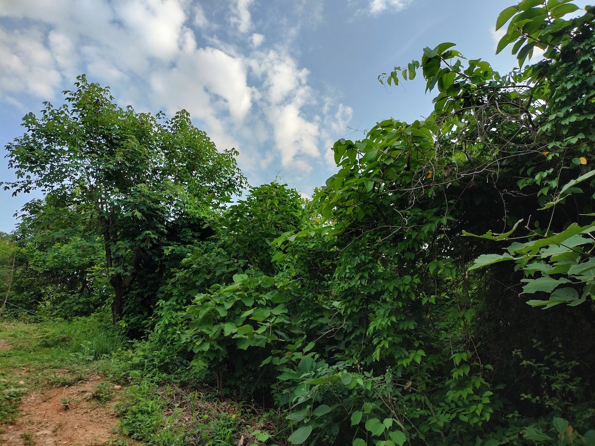 null - ML656986931