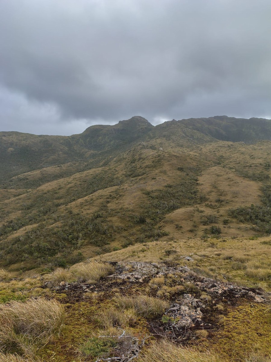 null - ML656988511