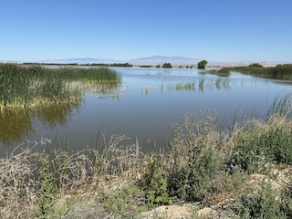 Piute Ponds (permit required) (CA Atlas - Rosamond Lake CW), Los ...