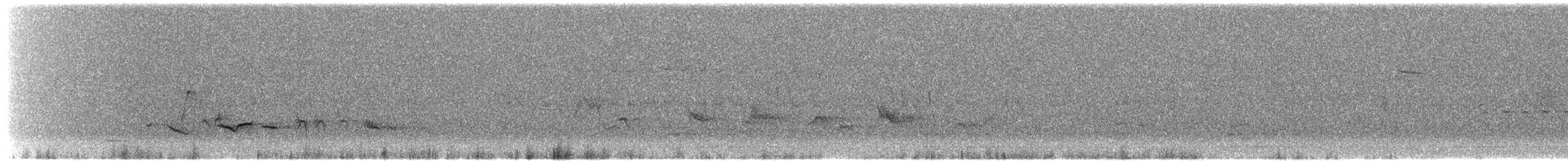 Baltimore Oriole - ML657006164