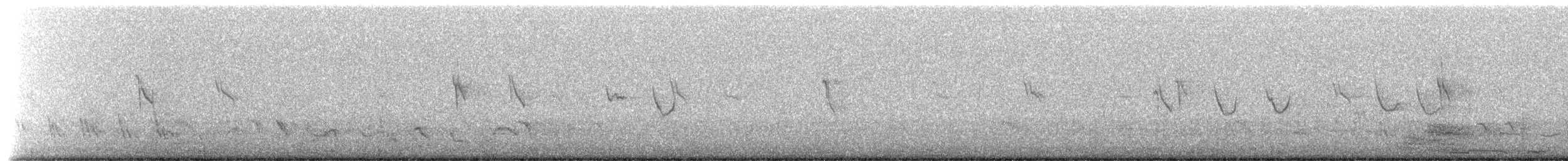 Purple Martin (hesperia) - ML657007423