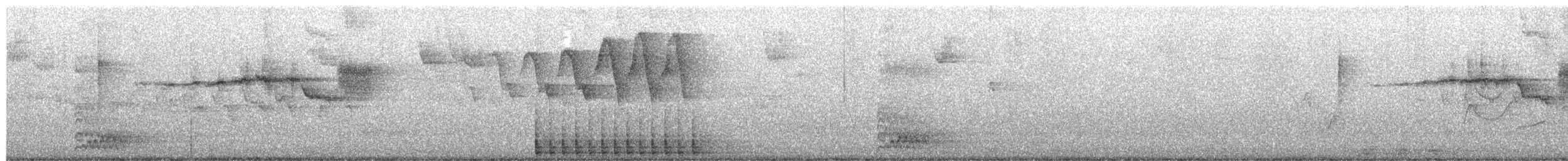 Black-throated Green Warbler - ML657008027