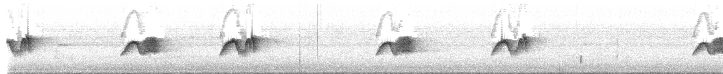 Eastern Phoebe - ML657009269
