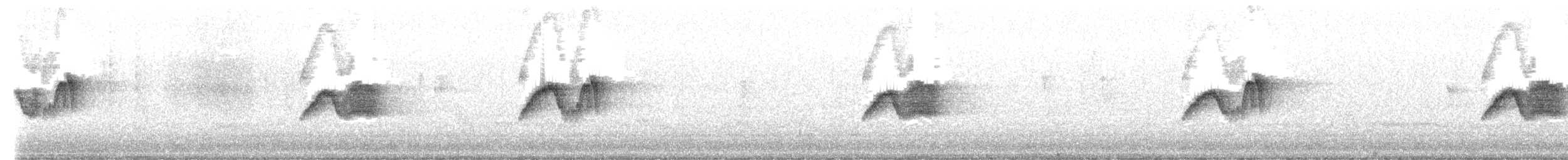 Eastern Phoebe - ML657009270